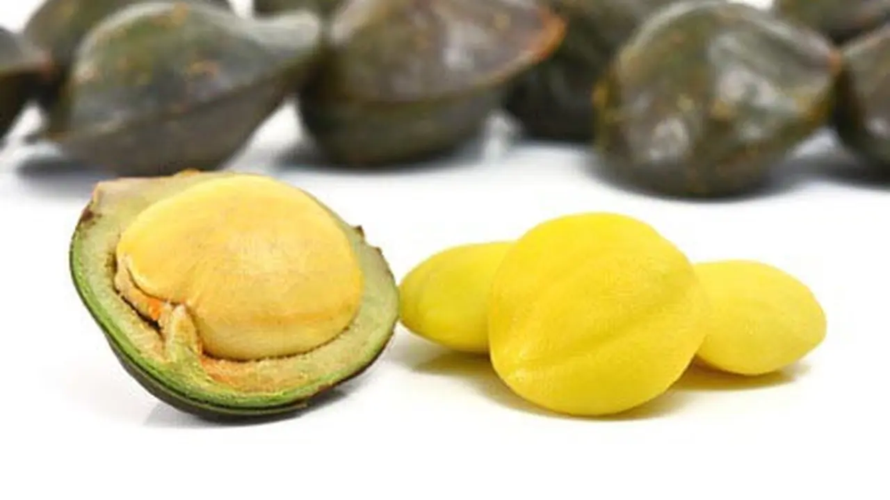 Bahaya Akibat Makan Jengkol Terlalu Banyak