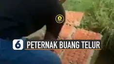 Beredar video seorang pria membuang puluhan telur di sawah.