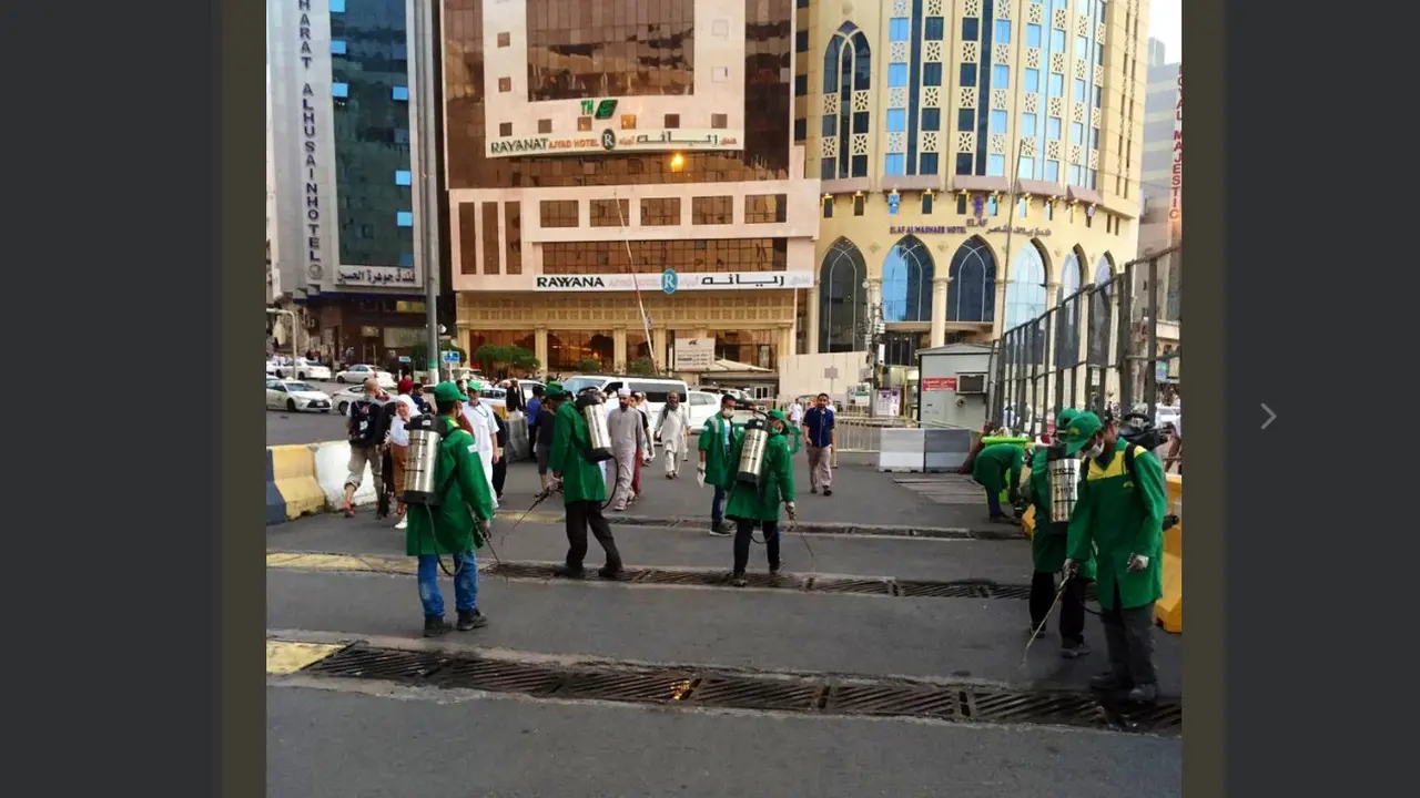 Jangkrik bermunculan di Mekah