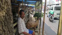 Dai, seorang pedagang kambing di Jl. Tentara Pelajar atau kawasan Pasar Kambing Semarang, menanti pembeli di kiosnya, Selasa (14/8 - 2018). (foto : Liputan6.com/Solopos.com/Imam Yuda S.)