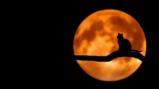 Ilustrasi malam hari