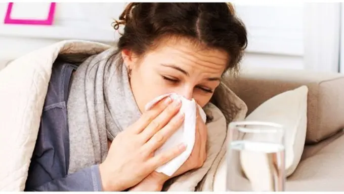 Foto: copyright shutterstock.com