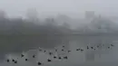 Bebek berenang di kolam dengan Biara Novodevichy sedikit terlihat melalui kabut, di Moskow, Rusia, Selasa (2/11/2021).  Kabut tebal menyelimuti ibu kota Rusia pada Selasa, menyebabkan banyak penundaan penerbangan di bandara Moskow. (AP Photo/Pavel Golovkin)