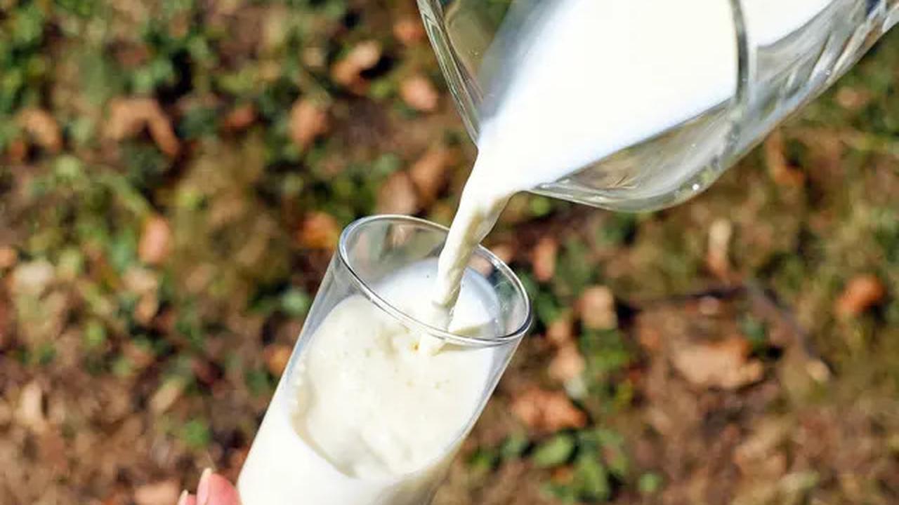 3 Manfaat Minum Susu Kunyit Sebelum Tidur, Salah Satunya Buat Istirahat Jadi Lebih Nyenyak
