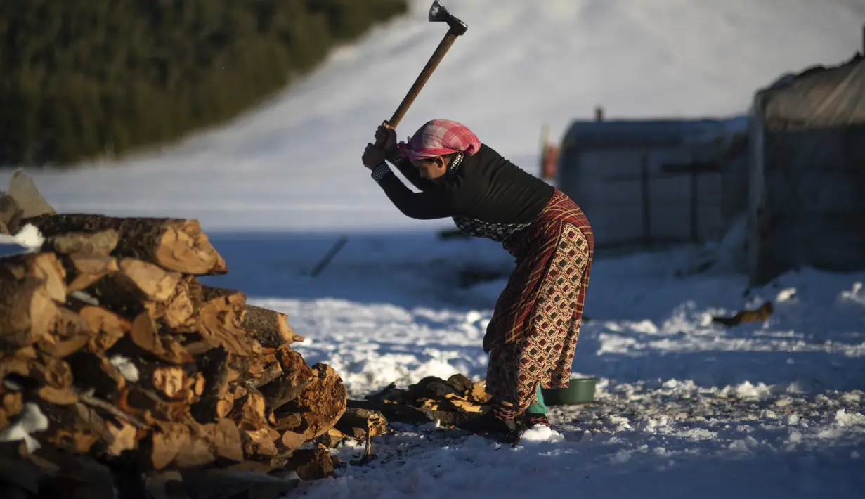 Seorang wanita memotong kayu untuk memasak dan memanaskan di desa Amazigh Timahdite di Atlas Tengah, dekat Azrou, Maroko (4/12/2021). (AP Photo/Mosa'ab Elshamy)