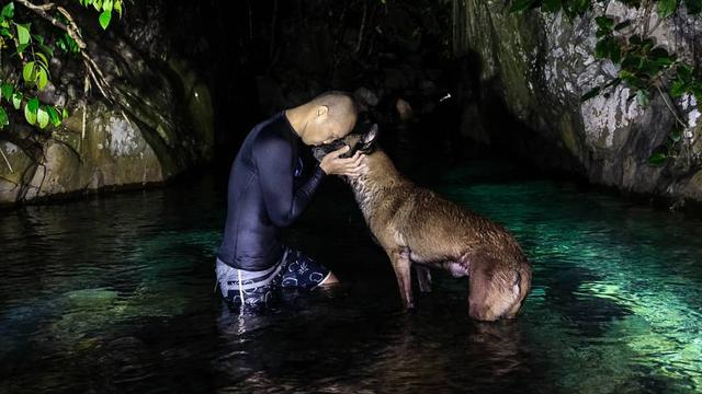 7 Potret Sparta, Anjing Bima Aryo yang Gigit ART