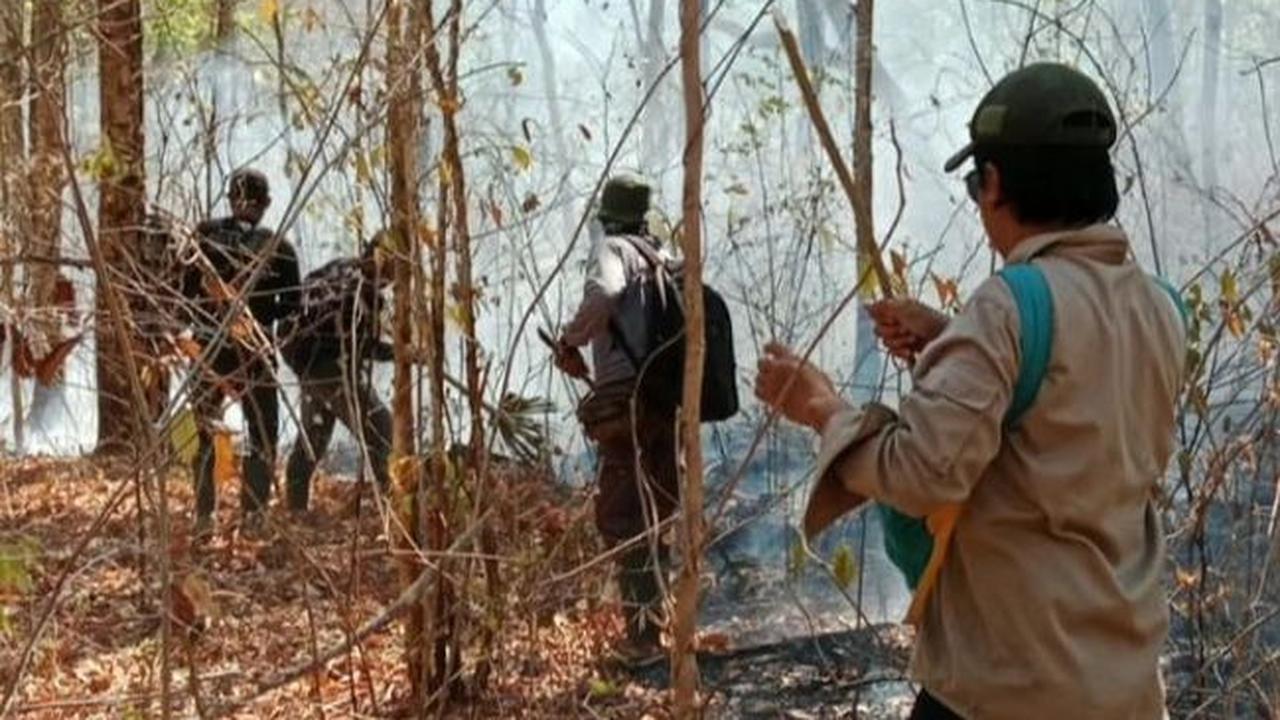 Penanganan kebakaran hutan dilakukan oleh Polres Situbondo bersama Masyarakat Peduli Api TN Baluran