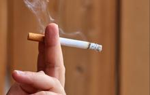 Apa Benar Filter Rokok Mengandung Darah Babi? Cek Faktanya