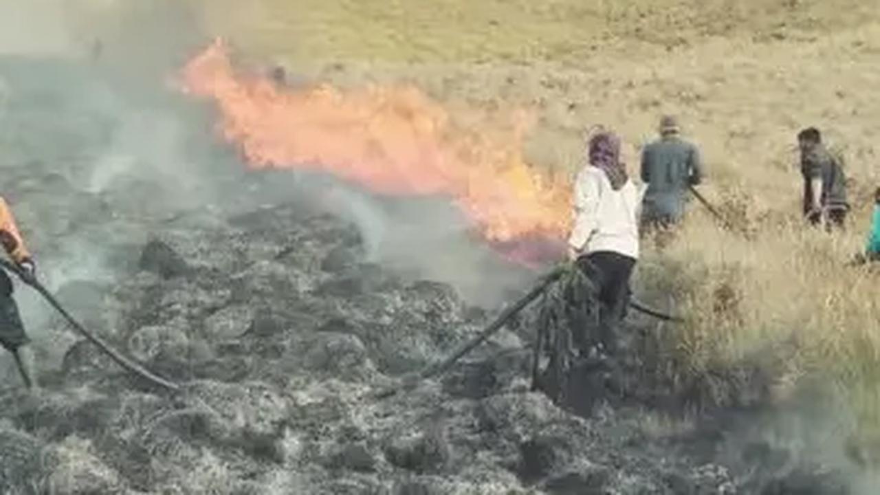 Update Kebakaran Gunung Bromo Gara-Gara 'Flare Prewedding': Api Masih Menyala di Sejumlah Titik