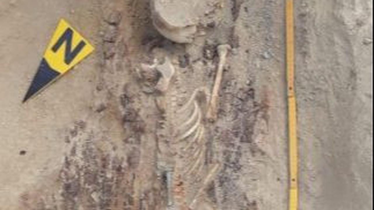 Tengkorak Serigala Ditemukan dalam Makam Berusia 2.000 Tahun, Bisa Cegah Arwah Bangkit dari Kubur