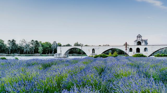 Avignon