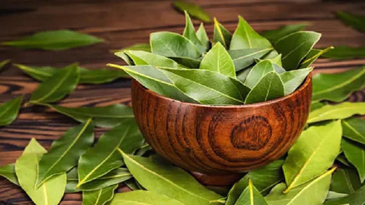 9 Manfaat Air Rebusan Daun Salam untuk Mengatur Kadar Gula Darah