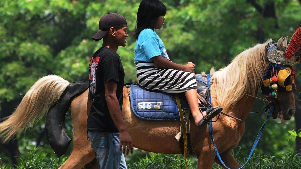 Seorang anak tampak antusias menunggang kuda saat menikmati jalan-jalan di Kawasan Kanal Banjir Timur, Jakarta Timur, Kamis (11/4/2024). Mengisi waktu libur Lebaran sejumlah warga mulai mencari lokasi wisata. Foto: merdeka.com / Imam Buhori<br>