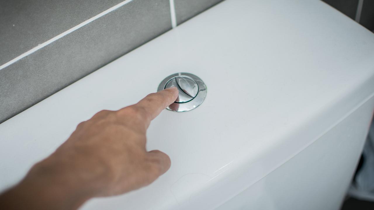 Ternyata Ini Fungsi Dua Tombol pada Toilet Flush yang Jarang Diketahui Banyak Orang