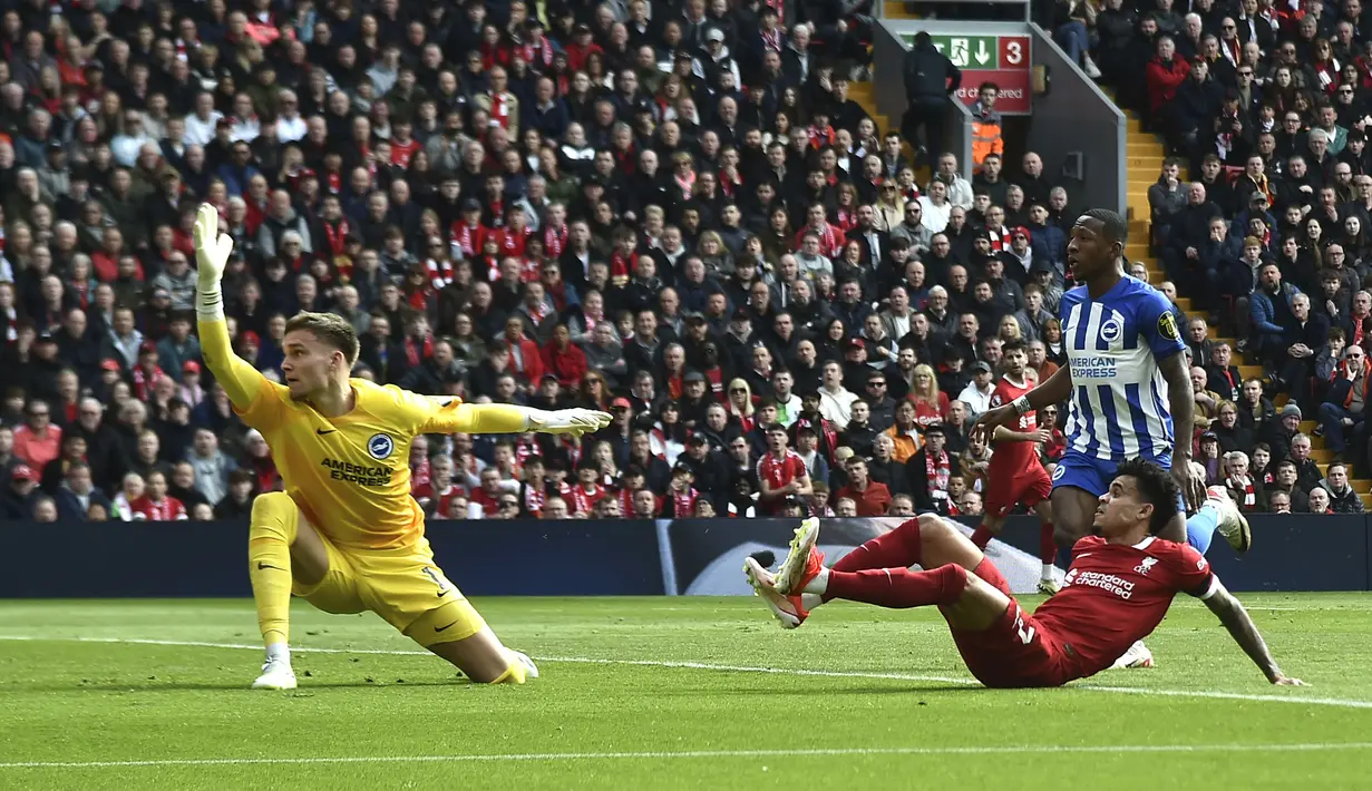 Gelandang Liverpool, Luis Diaz (kanan) mencetak gol penyeimbang 1-1 ke gawang Brighton and Hove Albion yang dikawal Bart Verbruggen pada laga pekan ke-30 Premier League 2023/2024 di Anfield Stadium, Liverpool, Minggu (31/3/2024). (AP Photo/Rui Viera)