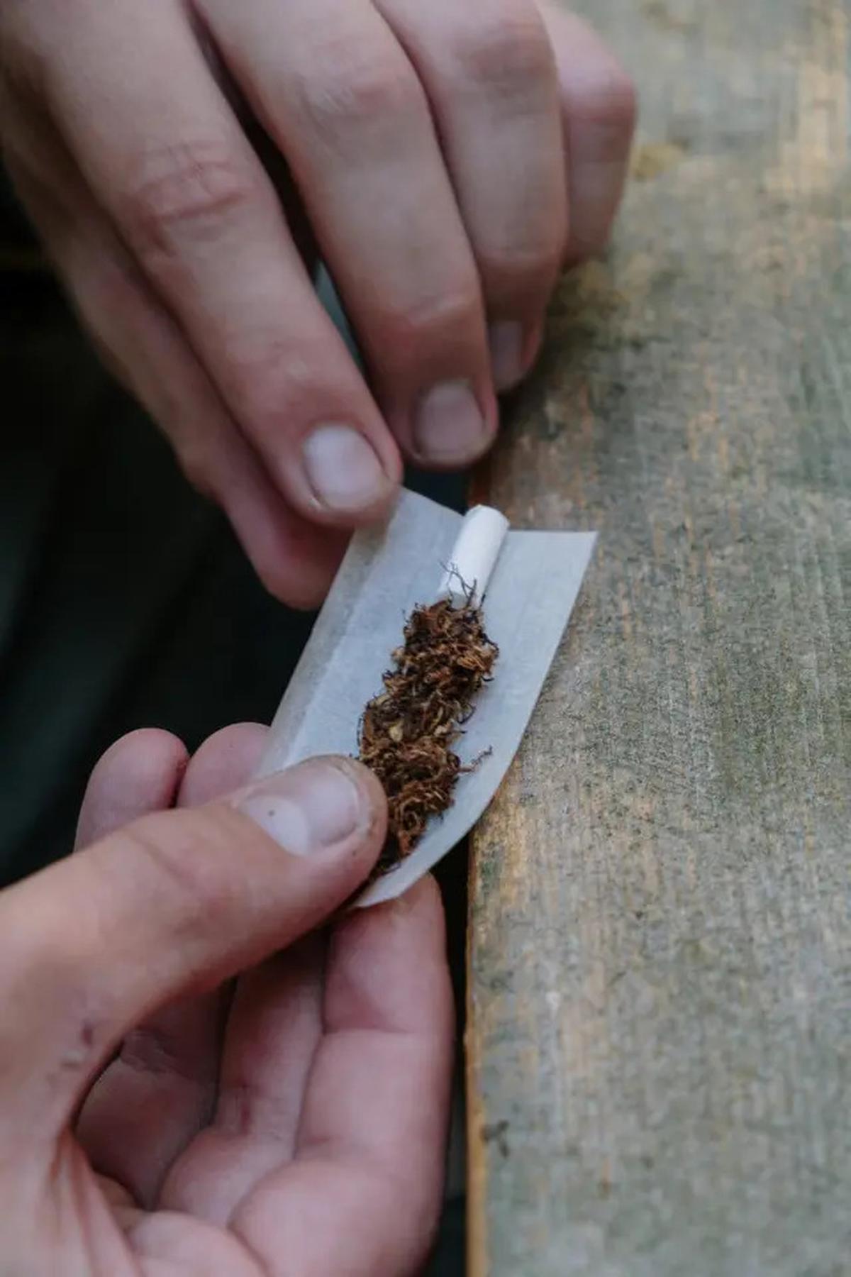 Wacana Rokok Tanpa Merek, Sejumlah Kepala Daerah Soroti Dampak pada Industri Hasil Tembakau