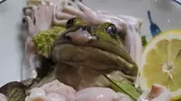 Berani Coba Makan Sashimi dari Kodok Hidup ini?