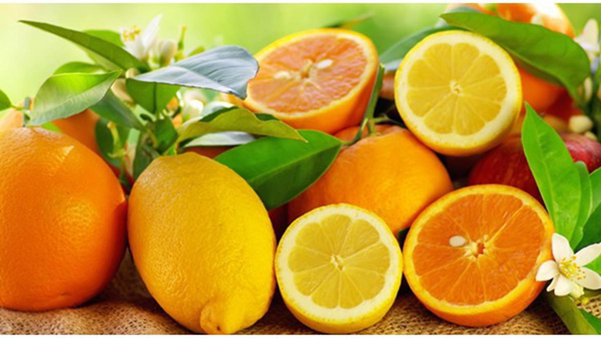 День апельсинов и лимонов картинки. Апельсин и лимон. Лимон апельсин мандарин. Кислые фрукты. Цитрусовый микс.