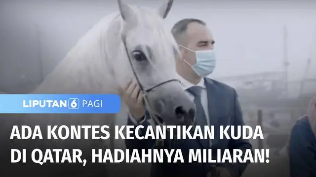 Setiap tahunnya, Qatar menyelenggarakan kontes kecantikan kuda. Kompetisi ini menjadi ajang yang paling ditunggu-tunggu oleh sebagian warganya. Selain unik, kompetisi ini juga memperebutkan hadiah total puluhan miliar rupiah.