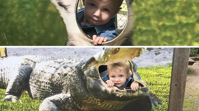 Latar Foto Nyeleneh