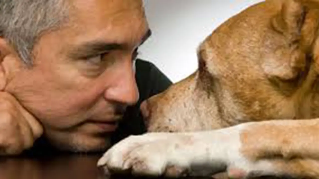 Cesar Millan