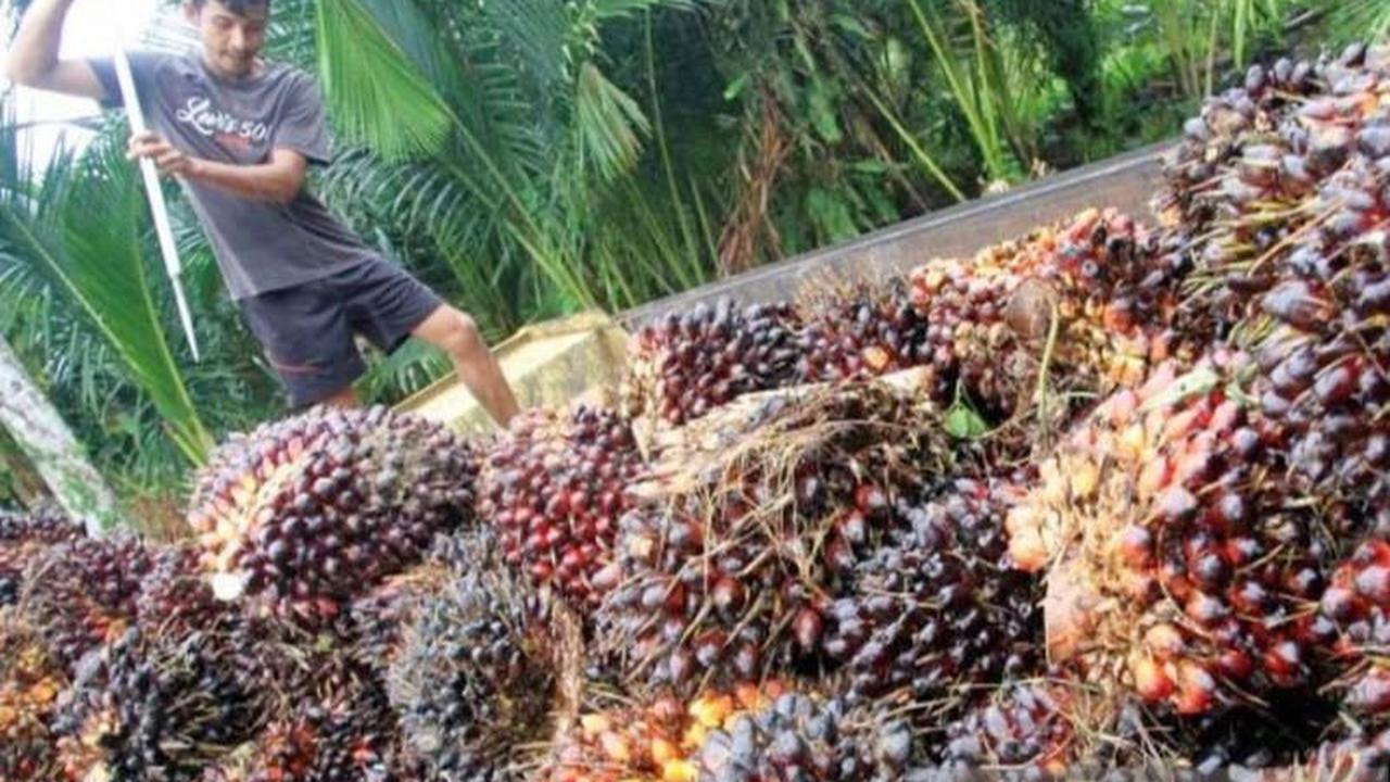 2. PT Astra Agro Lestari tbk