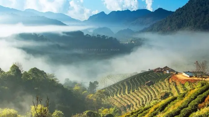 Doi Ang Khang: Enam Fakta Unik di Perbatasan Thailand-Myanmar.