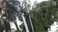 Pohon tumbang terlihat di kawasan Cikini, Jakarta, Kamis (22/11). Hujan deras disertai angin kencang  melanda Ibukota pada Kamis (22/11) sore menyebabkan sejumlah pohon tumbang dan mengganggu arus lalu lintas. (Liputan6.com/Immanuel Antonius)