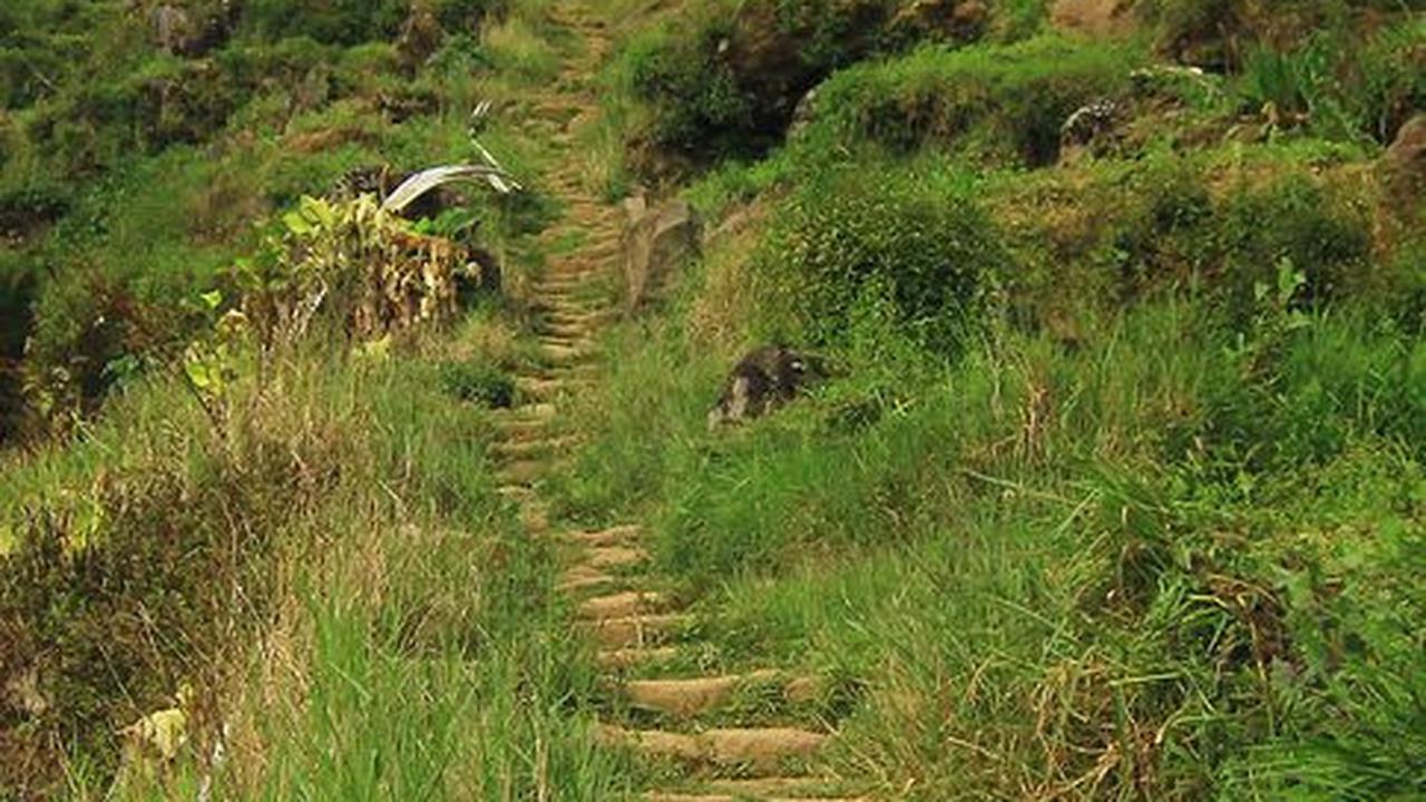 Menguak Fakta Jalur Kuno "Ondo Budho", Jalan Utama Para Peziarah Menuju Dieng di Masa Lalu