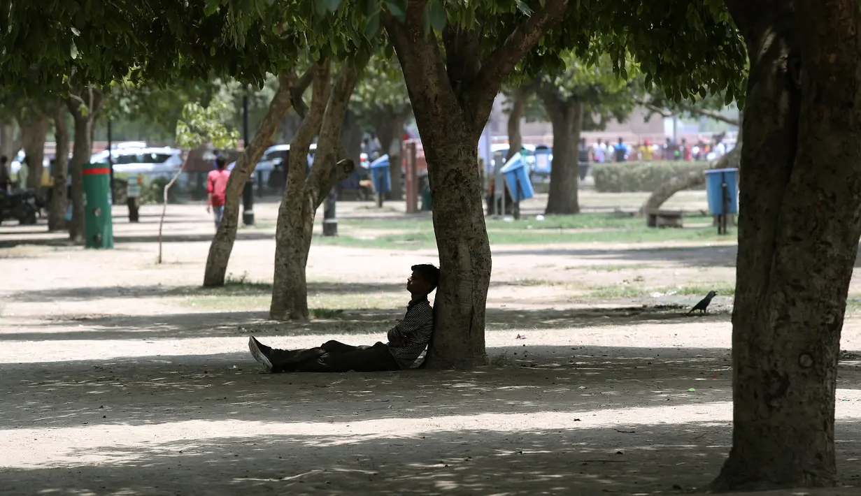 Seorang pria beristirahat di bawah pohon selama musim panas di New Delhi, India (10/6/2019). Kondisi gelombang panas yang parah menyapu bagian utara dan barat India dengan suhu maksimum melonjak hingga 48 derajat Celcius ( 118 F) di beberapa bagian Rajasthan. (AP Photo/Manish Swarup)