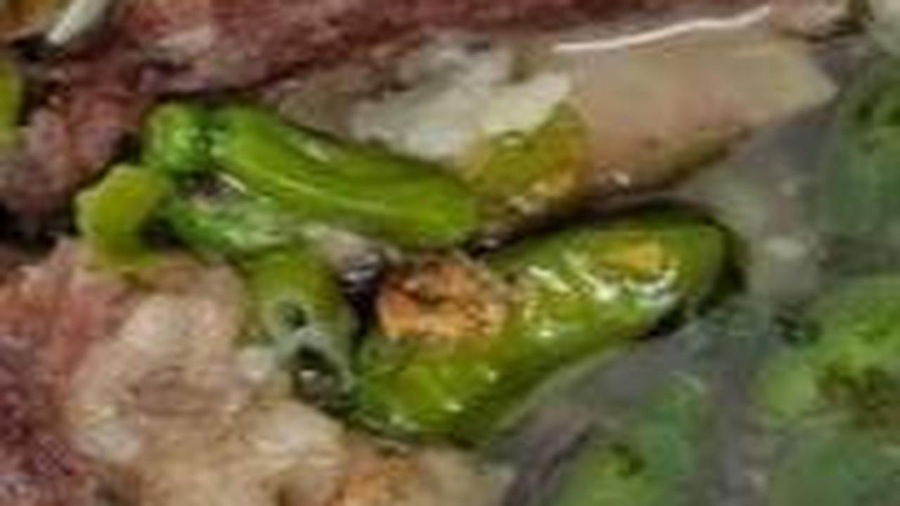 Resep Sop Janda