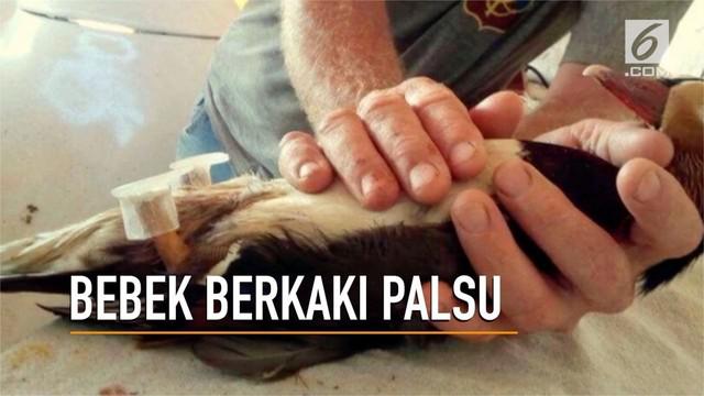 Berita Kaki Palsu Hari Ini Kabar Terbaru Terkini Liputan6 Com