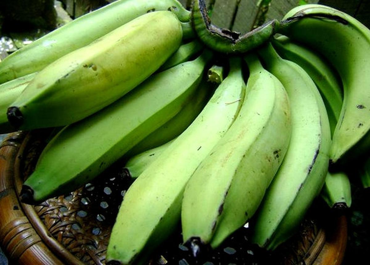 Jenis Pisang dan Manfaatnya