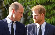 Skandal Epstein Files: Pangeran William Dicecar Wartawan soal Pangeran Andrew saat Kunjungan ke Arab Saudi