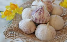 7 Manfaat Kesehatan Luar Biasa dari Konsumsi Bawang Putih Tunggal, Baik untuk Kolesterol hingga Diabetes