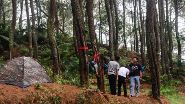 5 Daya Tarik Utama Destinasi Pasir Langlang Panyawangan Purwakarta
