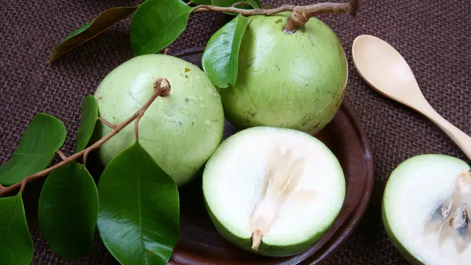buah sawo duren