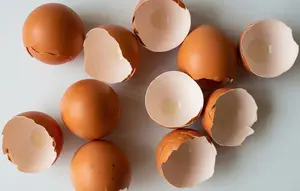 5 Cara Membuat Pupuk Cangkang Telur untuk Cabai agar Tidak Mudah Layu