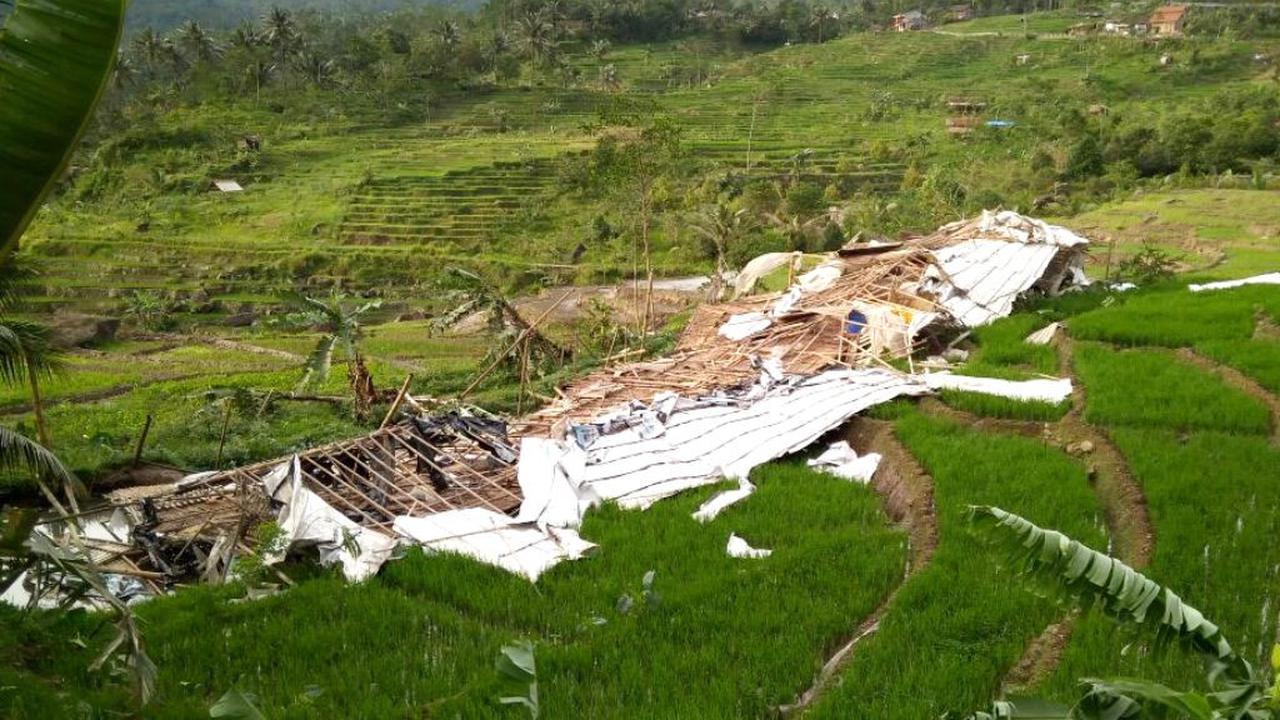 Kandang ayam berkapasitas ribuan ekor ambruk akibat terjangan badai cempaka di Banyumas. (Foto: Liputan6.com/Muhamad Ridlo)