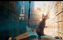 Pecinta Kucing Wajib Nonton 'Flow', Film yang Masuk dalam Festival Film Cannes 2024 Segera Tayang di Bioskop Indonesia