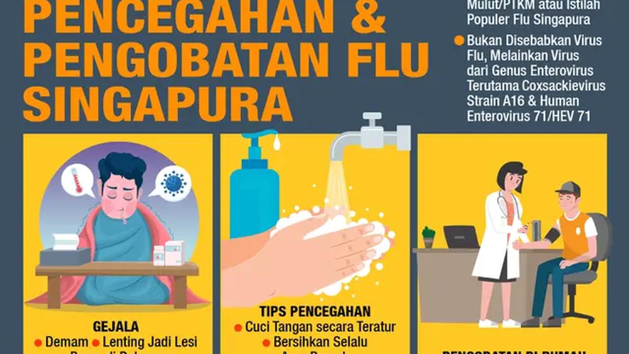 Infografis Gejala, Pencegahan dan Pengobatan Flu Singapura. (Liputan6.com/Abdillah)