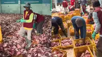 Viral warga dusun Krajan, Batur, Banjarnegara, Jawa Tengah daging kurbannya mencapai 25 ton (Sumber: TikTok/dombabaturofficial)