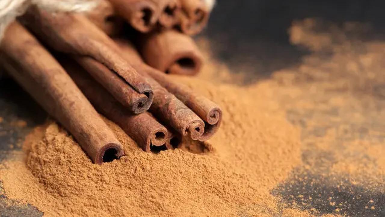 10 Cara Alami Usir Semut Tanpa Bahan Kimia, Langkah Mudah yang Bisa Dilakukan Sendiri