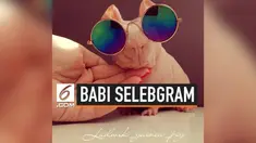 Ludwik adalah seekor babi asal Afrika. Ia menjadi selebgram di media sosial karena memiliki bentuk tubuh yang unik dan menggemaskan.