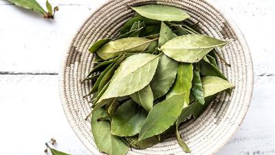 7 Cara Menyimpan Daun Salam Segar agar Tidak Cepat Menguning, Tetap Hijau dan Wangi