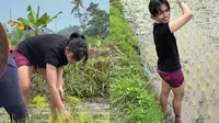 7 Potret Keseruan Sintya Marisca Tanam Padi di Sawah, Sarapan Bareng Petani