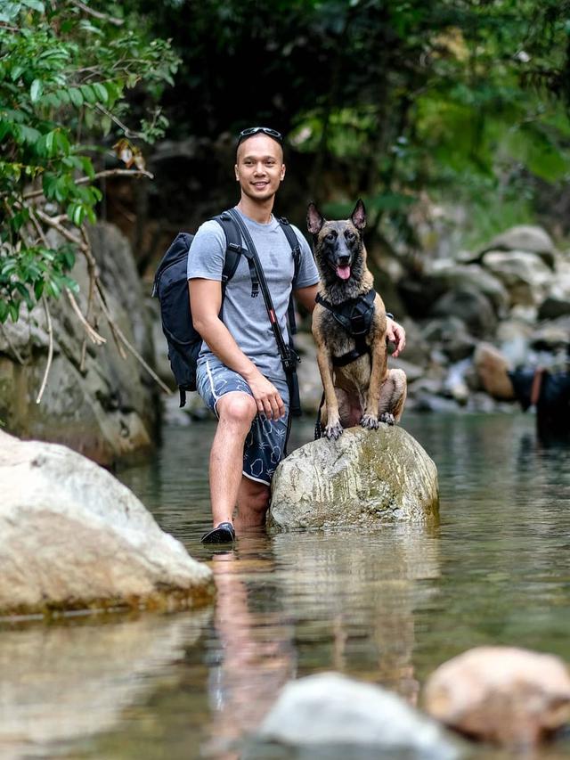 7 Potret Sparta, Anjing Bima Aryo yang Gigit ART