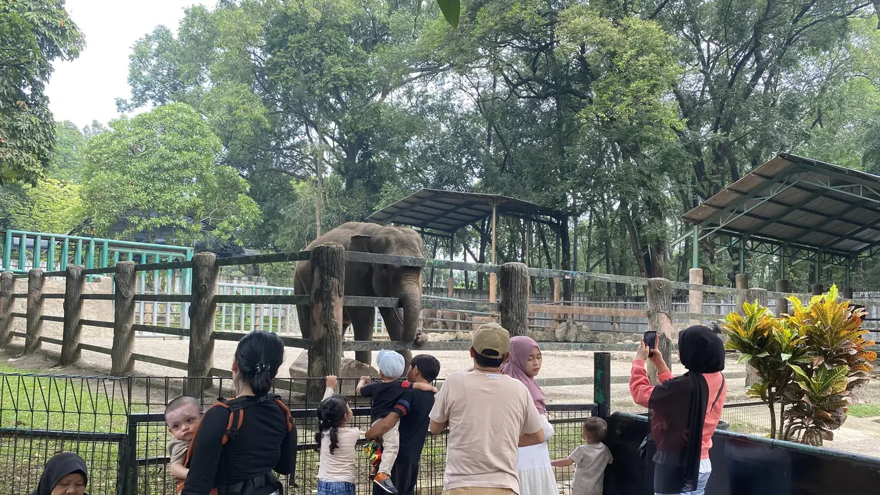 Keramaian terlihat di Taman Margasatwa Ragunan saat libur panjang akhir pekan Kenaikan Yesus Kristus.