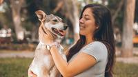 Pet quotes to show your love. (Photo: Manuel Meza/Unsplash)