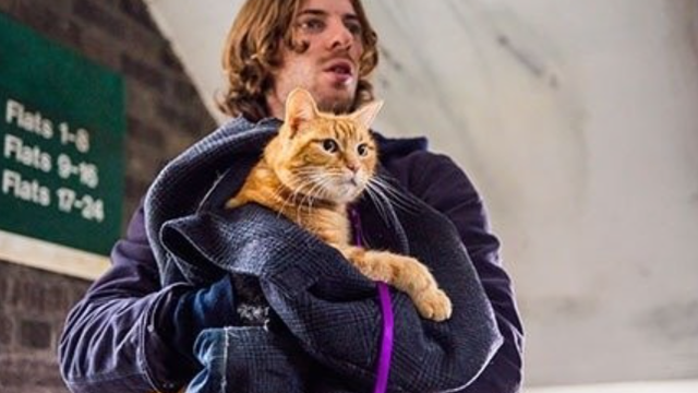 A Street Cat Named Bob (2016)